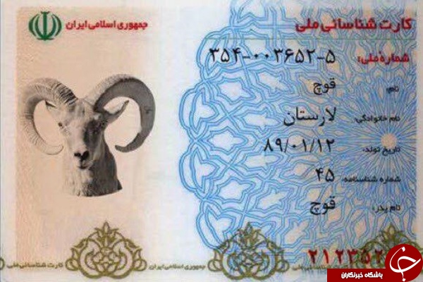 از سمندر لرستانی تا خرس بلوچی؛ کارت ملی حیات وحش را ببینید +تصاویر