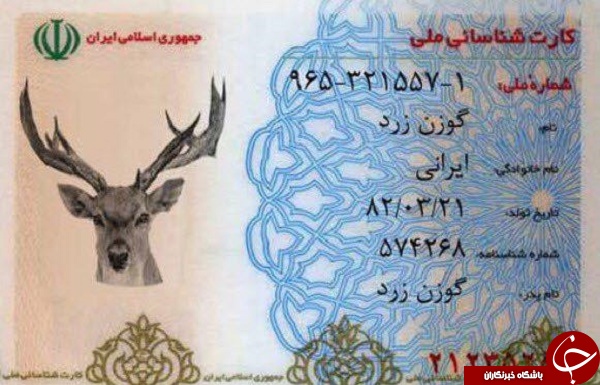 از سمندر لرستانی تا خرس بلوچی؛ کارت ملی حیات وحش را ببینید +تصاویر
