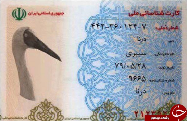 از سمندر لرستانی تا خرس بلوچی؛ کارت ملی حیات وحش را ببینید +تصاویر