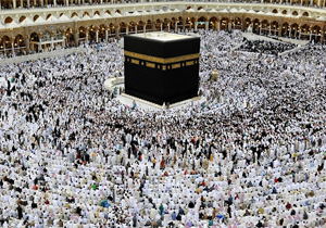 مستندسازی فاجعه منا رو به اتمام است