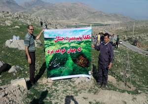 نگذاریم بمیرید جنگل که جهان خواهد مرد + تصاویر