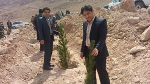 درخت کاری در نخستین روز از هفته منابع طبیعی