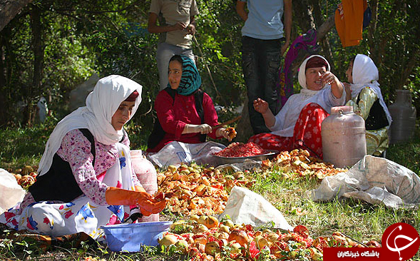 عکس هایی که بوی زندگی می&zwnj;دهند(قسمت بیست و هفتم)