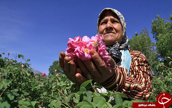 عکس هایی که بوی زندگی می&zwnj;دهند(قسمت بیست و هفتم)