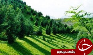اجرای کمربند سبز در اهواز
