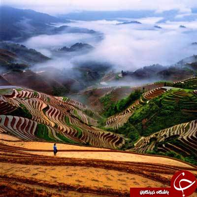 نوروز امسال سفری مجازی به چین داشته باشید+تصاویر///ویژه نوروز///