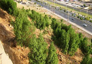 اجرای کمربند سبز در اهواز
