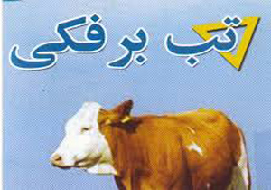 شناسایی 35 کانون آلوده تب برفکی در خراسان شمالی