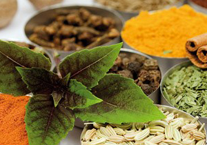 ظرفیت بالای کهگیلویه و بویراحمد در صادرات گیاهان دارویی