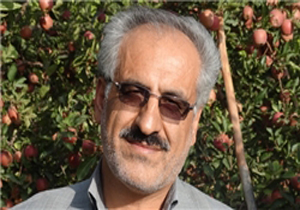 حمایت جهاد کشاورزی کهگیلویه و بویراحمد از سرمایه‌گذاران صنایع تبدیلی و سردخانه‌ای