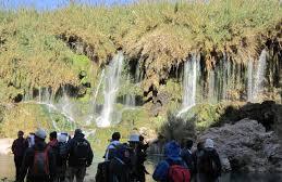 300 دانش آموز گلستانی عضو انجمن طبیعت یاران گلستان