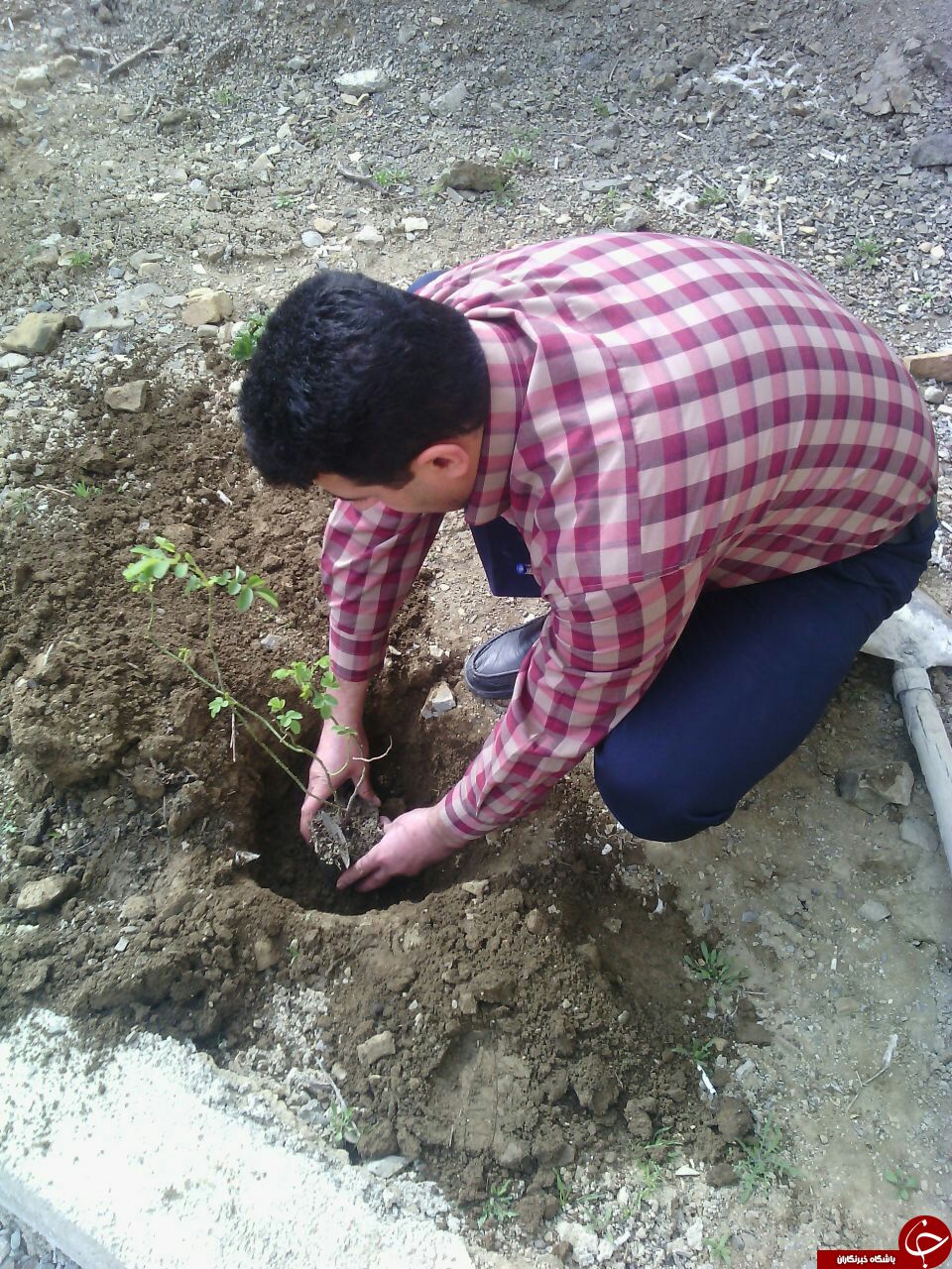 گرامیداشت روز درخت&zwnj;کاری در روستای کندر + تصاویر