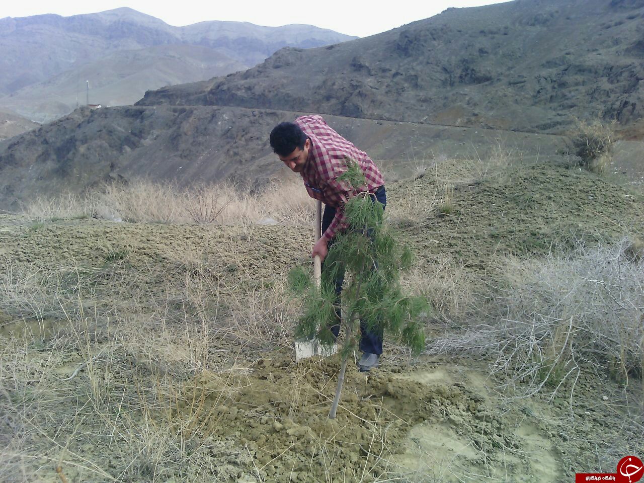 گرامیداشت روز درخت&zwnj;کاری در روستای کندر + تصاویر