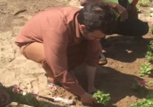 شهروندخبرنگاری که گل کاشت + فیلم