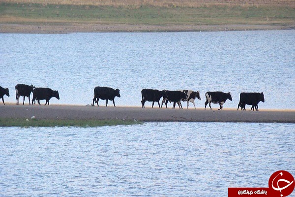 راهنمای سفر نوروزی به اردبیل