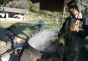 روستایی با طعم شکرقرمز