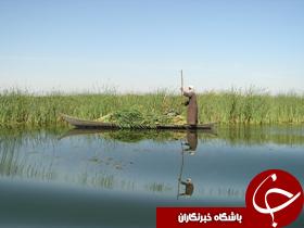تالاب هورالعظیم زیر ذره بین معاون محیط زیست انسانی