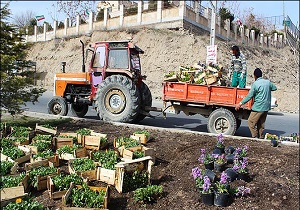 اجرای طرح استقبال از بهار و میهمانان نوروزی در شهر گیوی