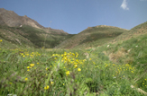 رونمایی از نخستین سند تک برگی اراضی ملی چهارمحال و بختیاری