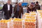 توزیع میوه شب عید از25اسفندماه درکرمان