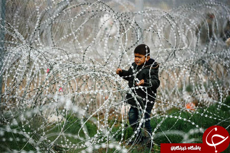 از آموزش عقاب برای شکار پهپاد تا حضور جو بایدن در مسجد زاید