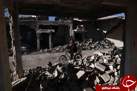 از آموزش عقاب برای شکار پهپاد تا حضور جو بایدن در مسجد زاید