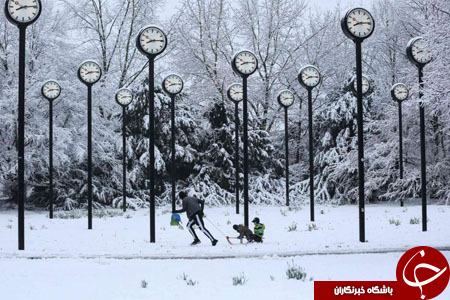 از آموزش عقاب برای شکار پهپاد تا حضور جو بایدن در مسجد زاید