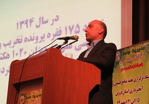 جنگل کاری هفت هزار هکتار عرصه فرسایشی