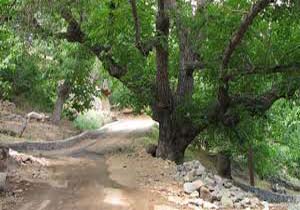 هنزا شهری کوهستانی با طبیعتی بکر