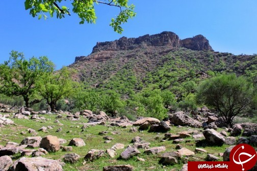 طبیعتی زیبا در دزفول