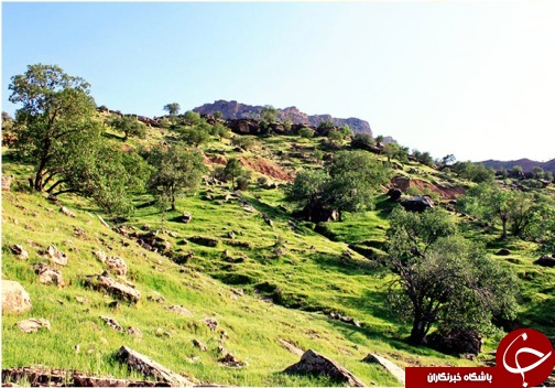 طبیعتی زیبا در دزفول