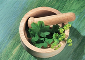 سرمایه‌گذاری در حوزه گیاهان دارویی عامل توسعه صادرات کهگیلویه و بویراحمد