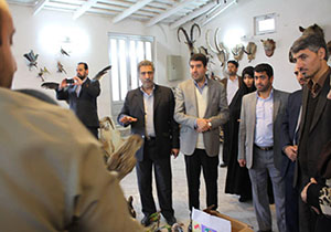 مجازات ها بازدارنده شکارچیان از شکار نیست