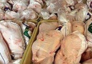 معدوم سازی 217لاشه غیر قابل مصرف  بوقلمون در بوئین زهرا