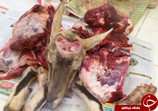 از اختلاف منجر به قتل تا واژگونی اتوبوس سرباز&zwnj;ها