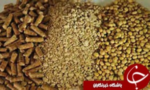 توزیع بیش از 13 هزار تن انواع نهاده‌های دامی بین دامداران آذربایجان‌شرقی