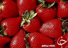 طرح کنترل گسترده کیفیت محصولات در خوزستان