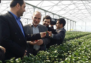 بهره برداری از یک واحد گلخانه در آبیک