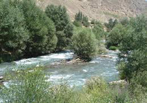 شناسنامه آبی