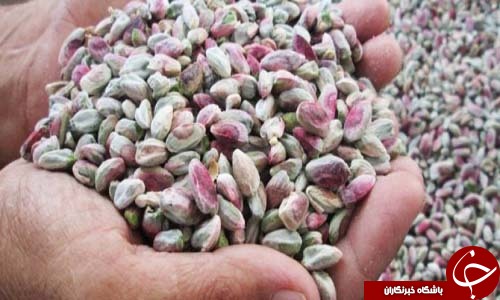 کشاورزی افغانستان دربیم&zwnj;و&zwnj;امید فرصت&zwnj;ها و چالش&zwnj;ها