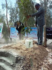 کاشت نهال دوستی، به منظورایجاد تعامل وتوسعه پایدار