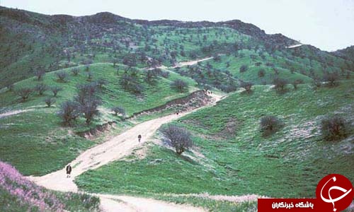 لزوم توجه به ظرفیت&zwnj;های زیست&lrm;محیطی افغانستان
