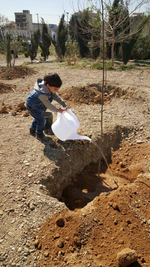رادیو ایران مروج فرهنگ درختکاری می‌شود