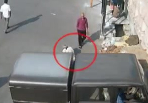 لحظه دلخراش له شدن یک گدا زیر چرخ‌های خودرو + فیلم