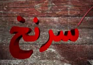 جستجوی سرنخ در دو پرونده + فیلم