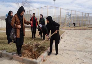 کاشت درخت به یاد شهیدان هواشناسی