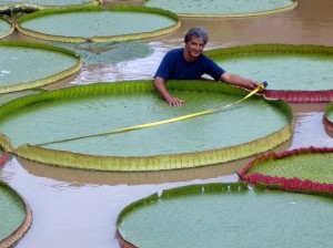 عجیب&zwnj;ترین گیاهان دنیا+تصاویر