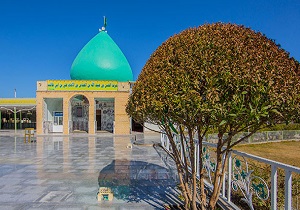 حرم فرزند حضرت عباس(ع) در شهر حله عراق + تصاویر