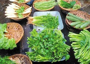 سمی‌ ترین سبزیجات کشور