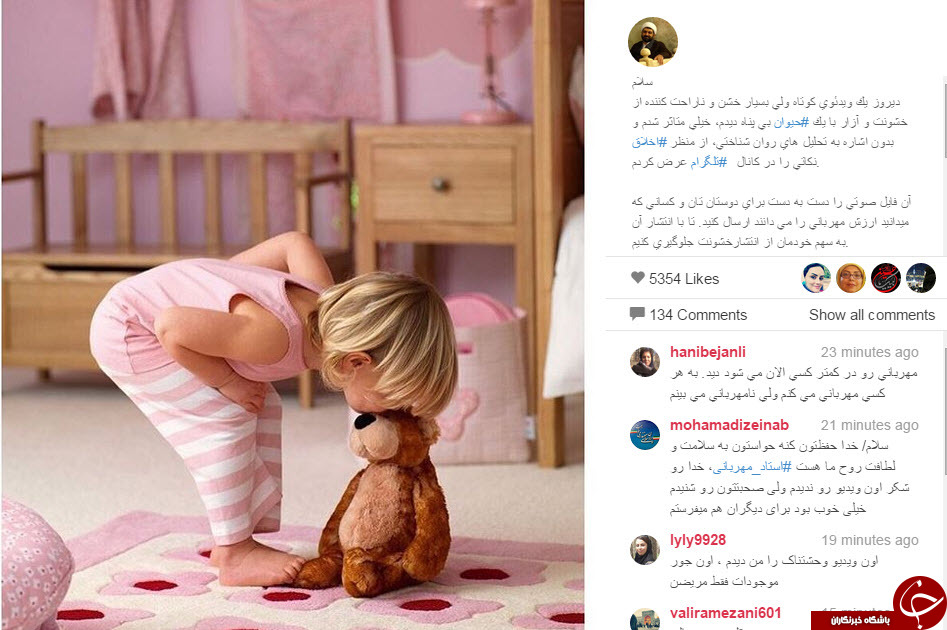 کمپین حمایت از حیوانات